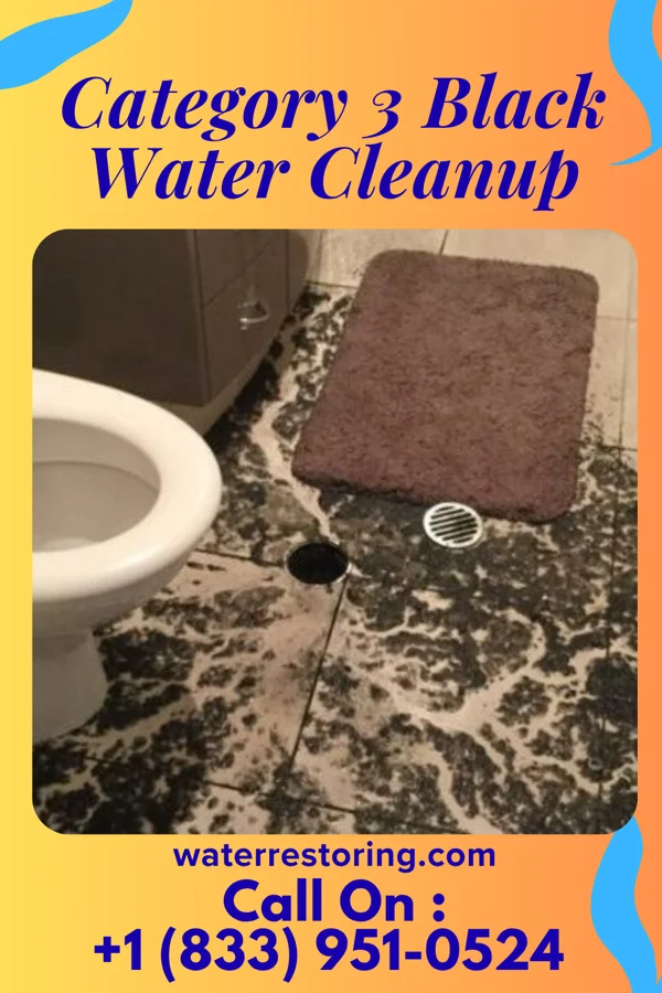 Category 3 Black Water Cleanup in Leesville, OH