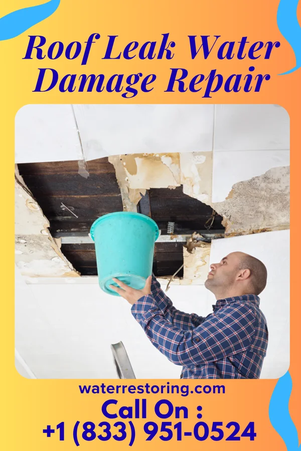 Roof Leak Water Damage Repair in Leesville, OH