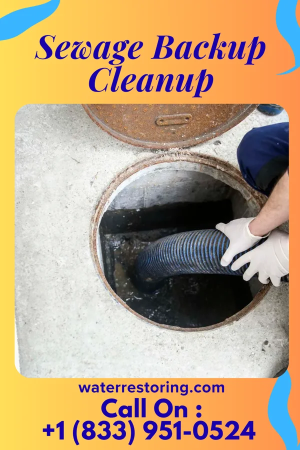 Sewage Backup Cleanup in Leesville, OH