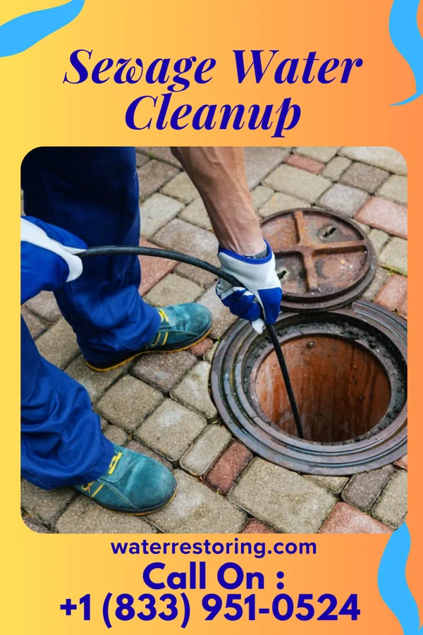Sewage Water Cleanup in Leesville, OH