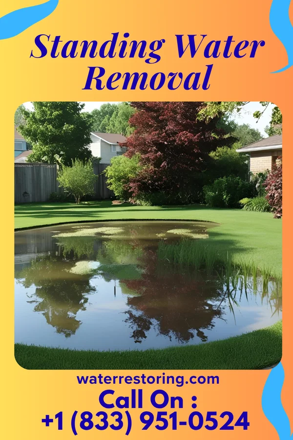 Standing Water Removal in Leesville, OH
